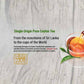 Alwazah (Swan Brand) Black Tea with Saffron Flavor 25 Enveloped Teabags x 2g, (50g)