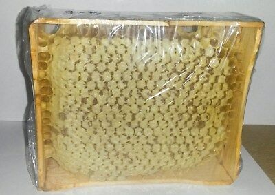 Wellmade Acacia Honey Comb 1000gr