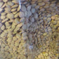 Baraka Green Lentils 6LB