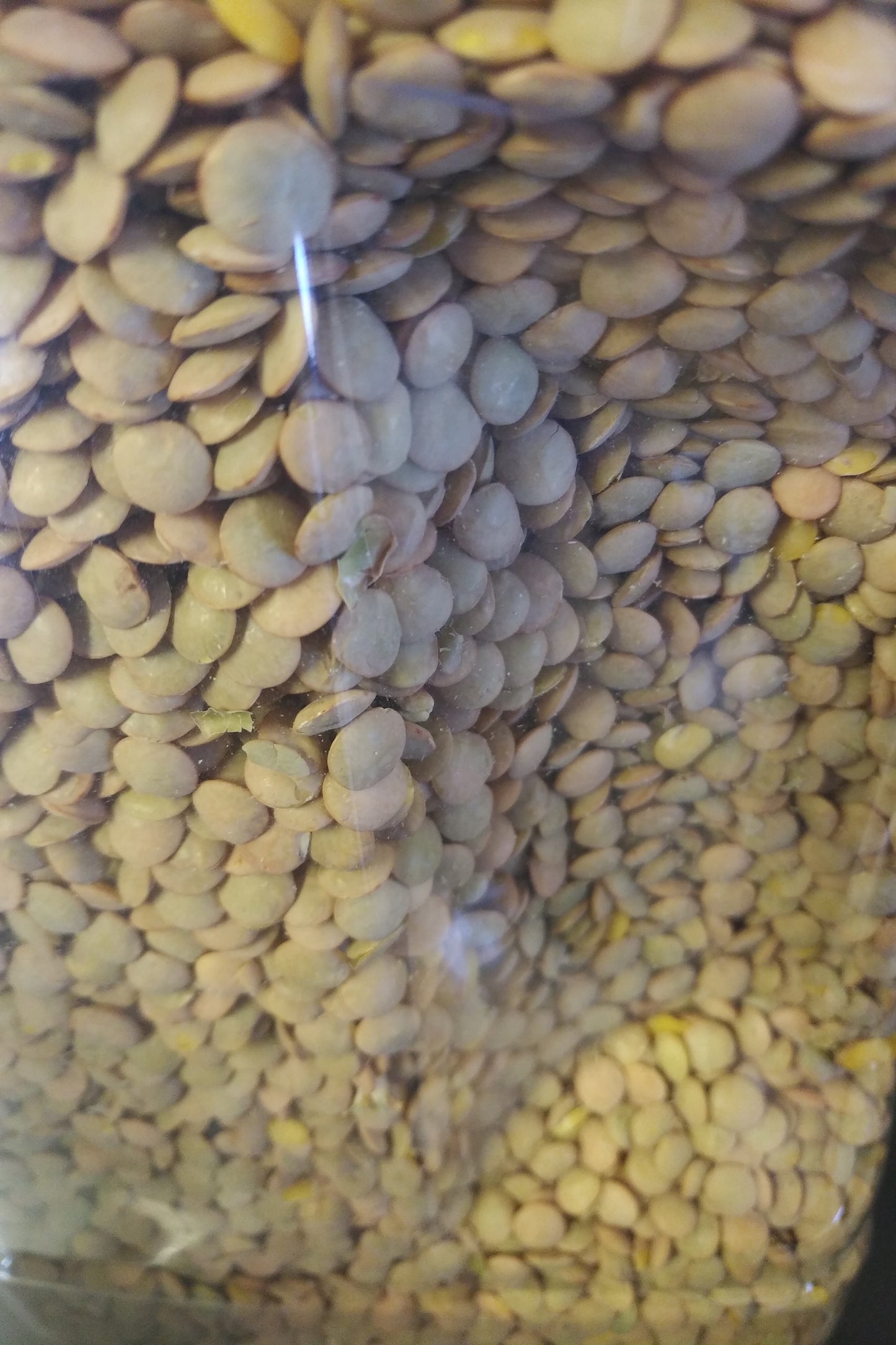 Baraka Green Lentils 6LB