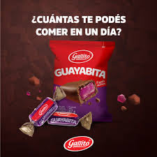 Gallito Chocolate Guayabita 234gr