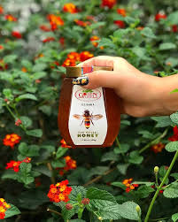 Golden Plate Pure Natural Honey 500gr Halal